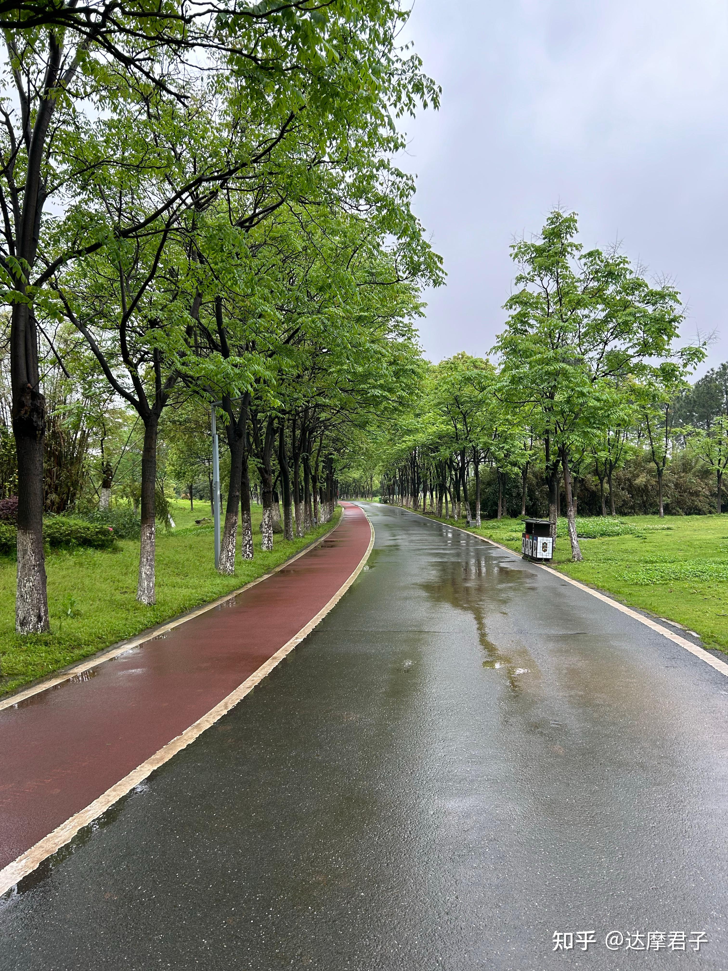 加拿大就中国电动车启动公众咨询，考虑加征关税或施加投资限制