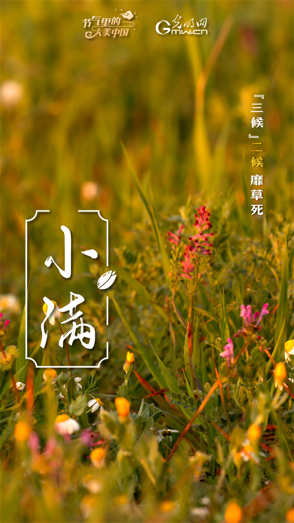 独家观察|小电量产品上市，是“刚刚好”满足需求还是噱头？