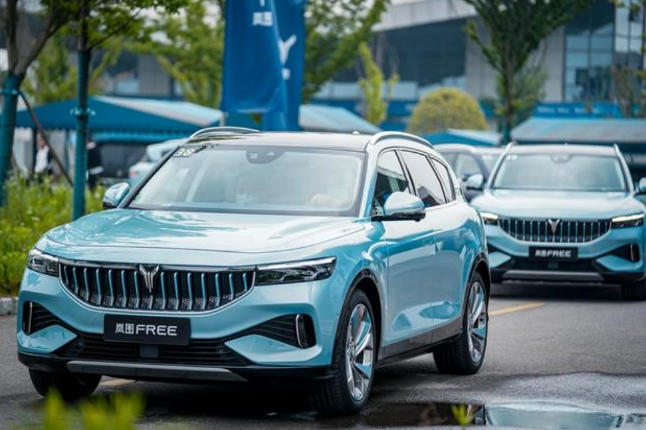 岚图官宣新车，纯电SUV命名为知音