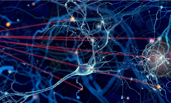 研究人员开发出3D定量相位成像的新方法 可应用于医学成像和传感设备