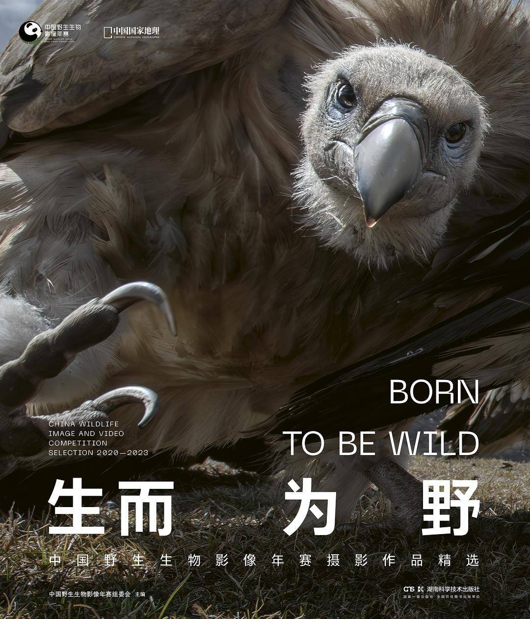 麻省理工学院引入新方法 允许机器人在扫描的家庭环境模拟中接受训练