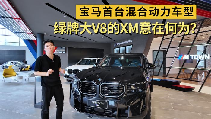 “绿牌混动”热销，新能源的尽头还是汽油