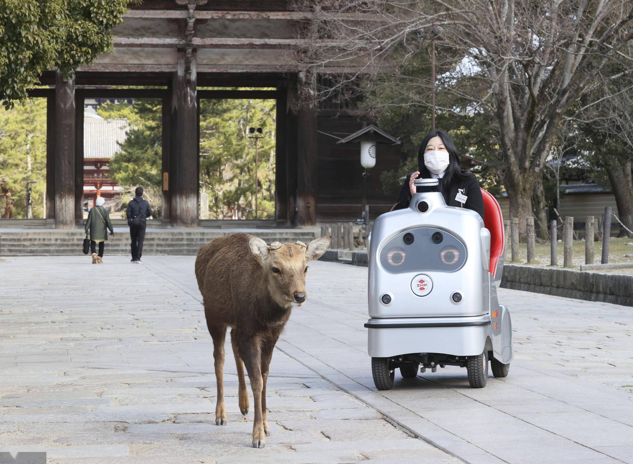 日本自动驾驶，有什么“新鲜”？