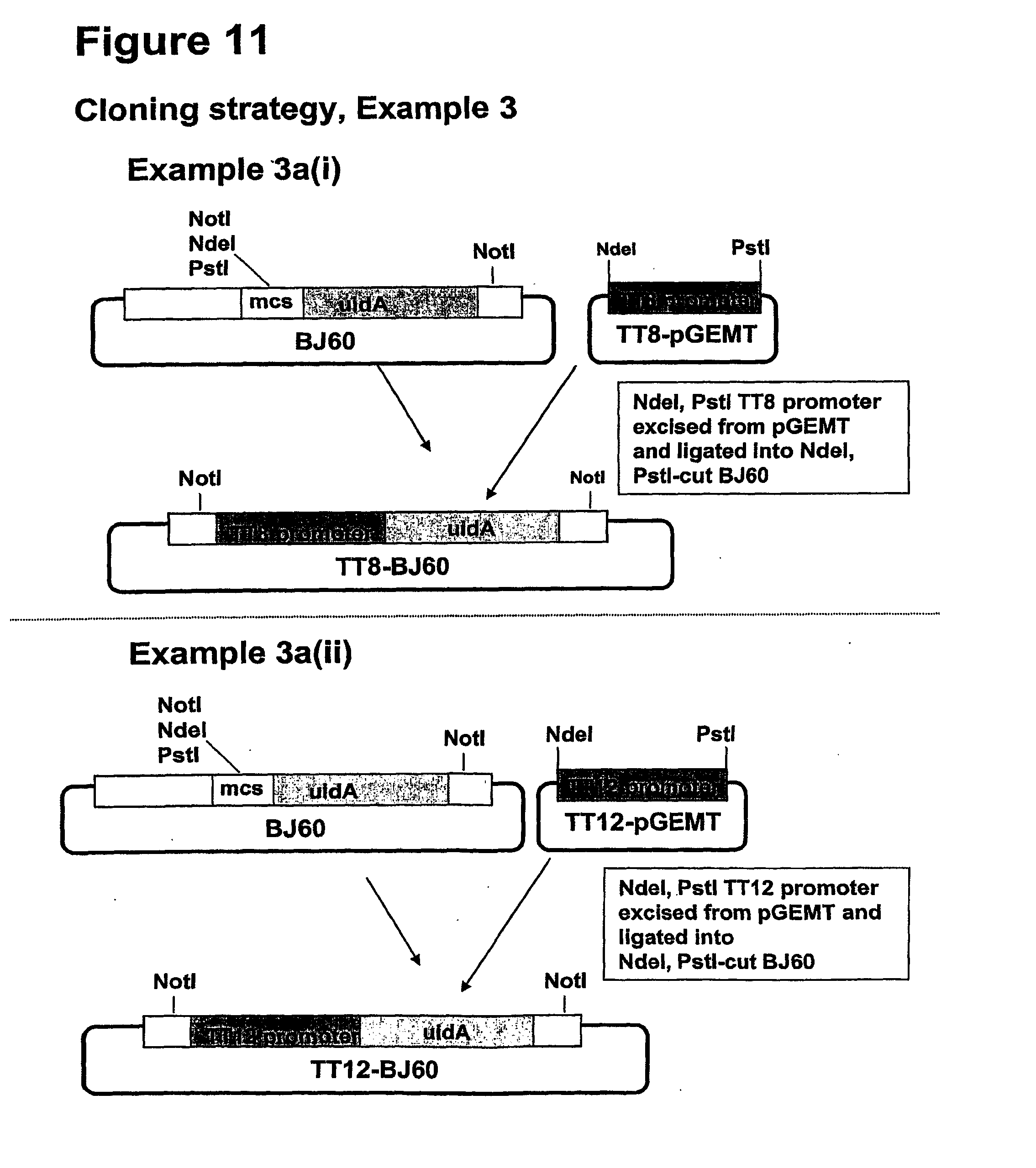 Seeds丨天翎科完成数千万元天使+轮融资